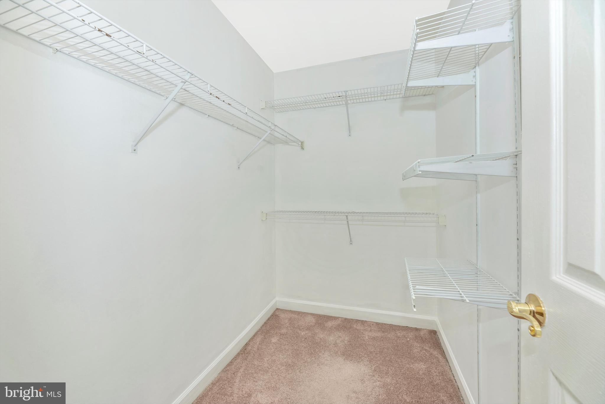 6103 Baldridge Circle Frederick, MD 21701 - Photo 29 of 61 Primary walk in closet