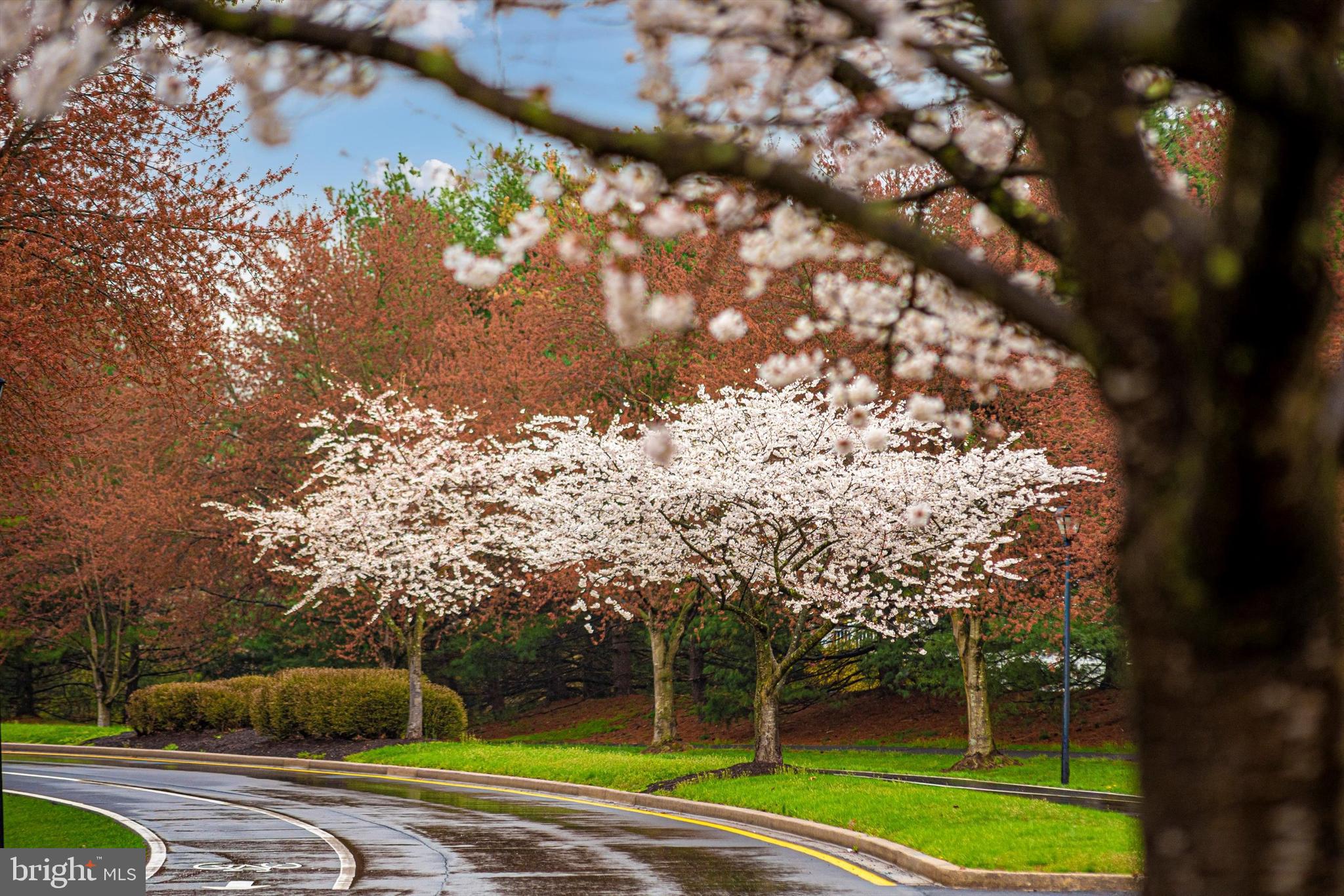6103 Baldridge Circle Frederick, MD 21701 - Photo 61 of 61 Community