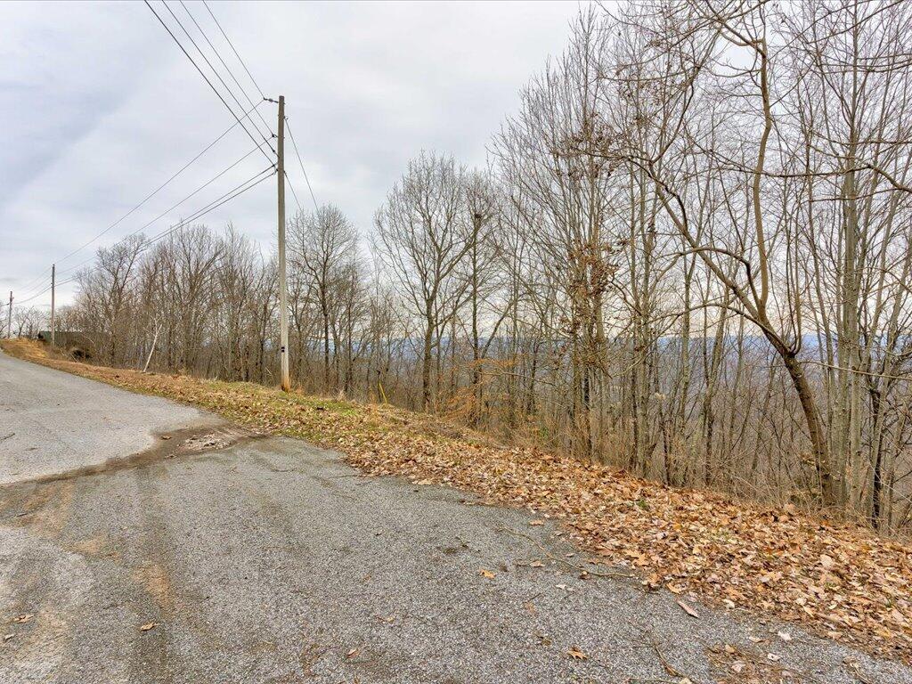 Lot 192 Clinch View Road, Unit 192 New Tazewell, TN 37825 - Photo 11 of 35 Lot 192 Clinch View Road - 11
