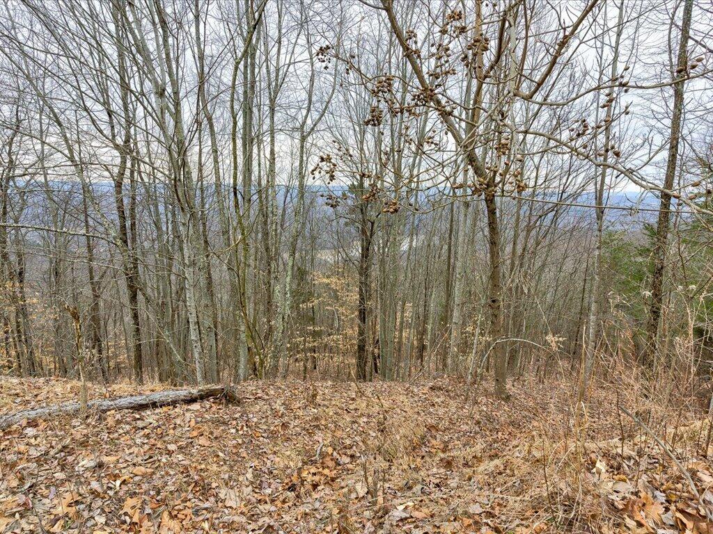 Lot 192 Clinch View Road, Unit 192 New Tazewell, TN 37825 - Photo 12 of 35 Lot 192 Clinch View Road - 12