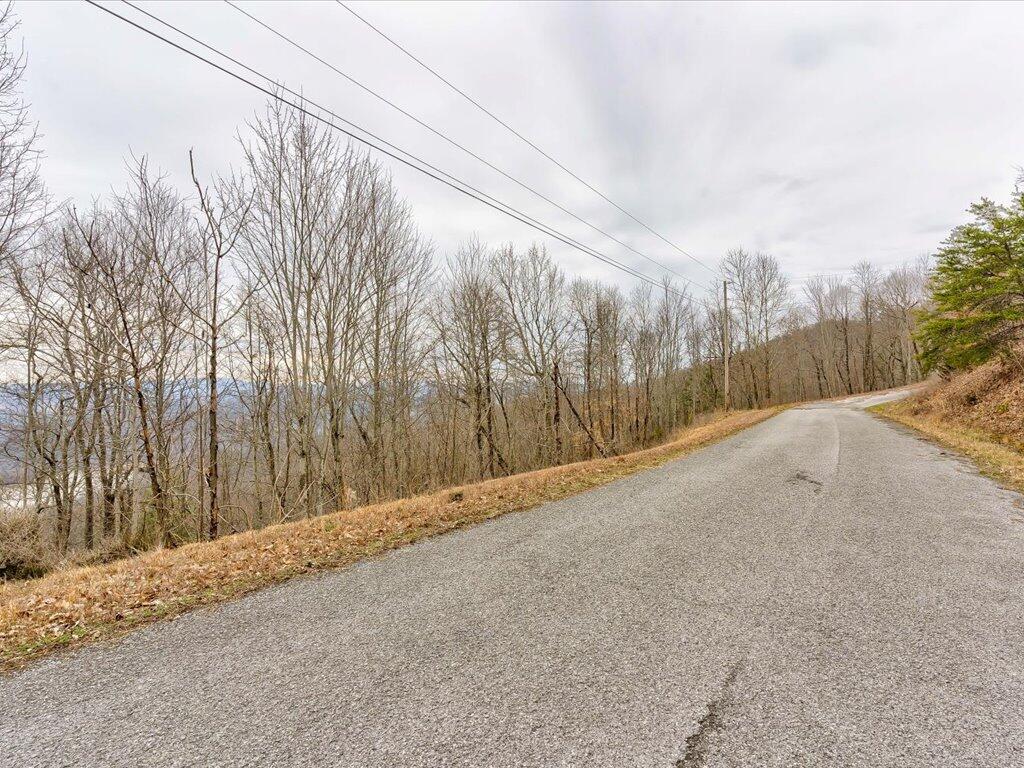 Lot 192 Clinch View Road, Unit 192 New Tazewell, TN 37825 - Photo 8 of 35 Lot 192 Clinch View Road - 8