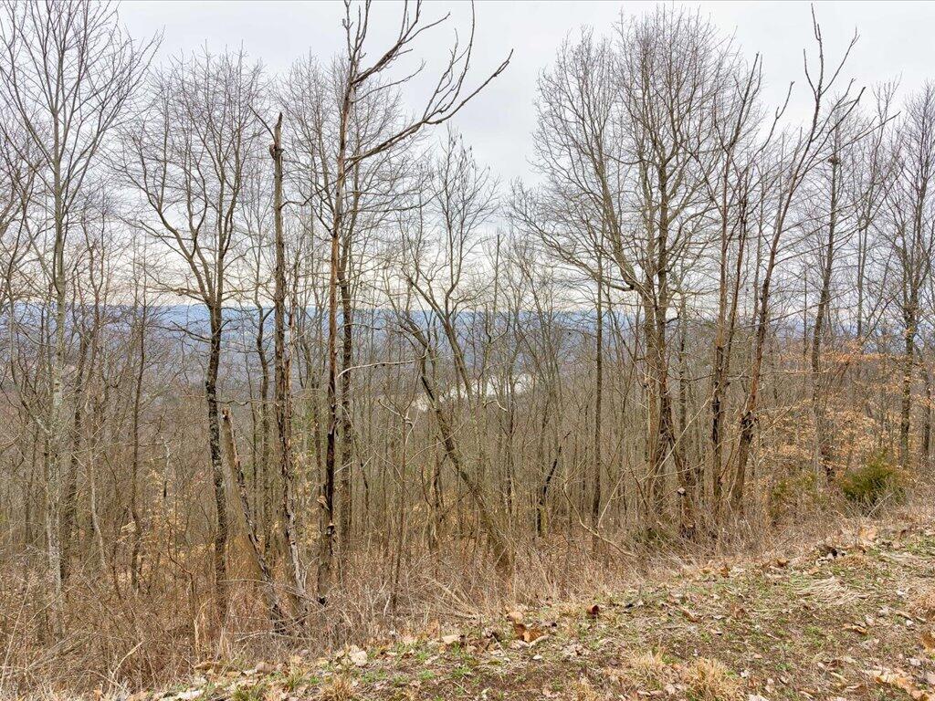 Lot 192 Clinch View Road, Unit 192 New Tazewell, TN 37825 - Photo 10 of 35 Lot 192 Clinch View Road - 10