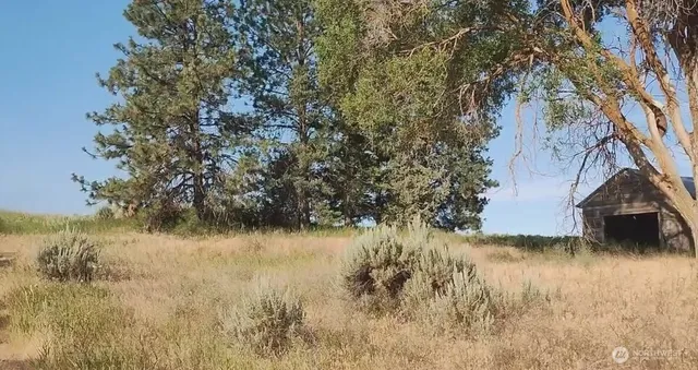 a view of lake with green space