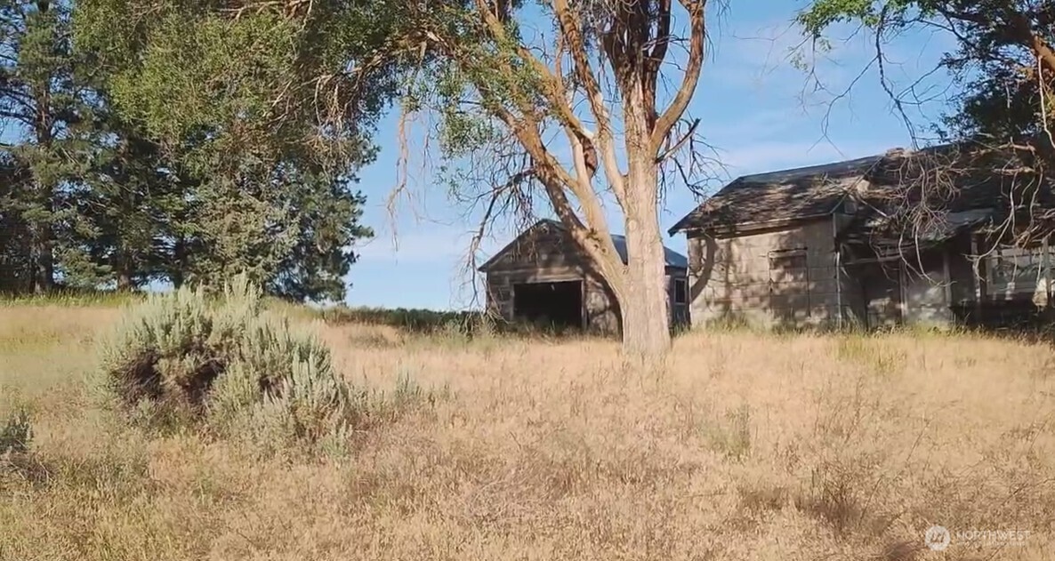 39681 Bluestem Road East Davenport, WA 99122 - Photo 4 of 8