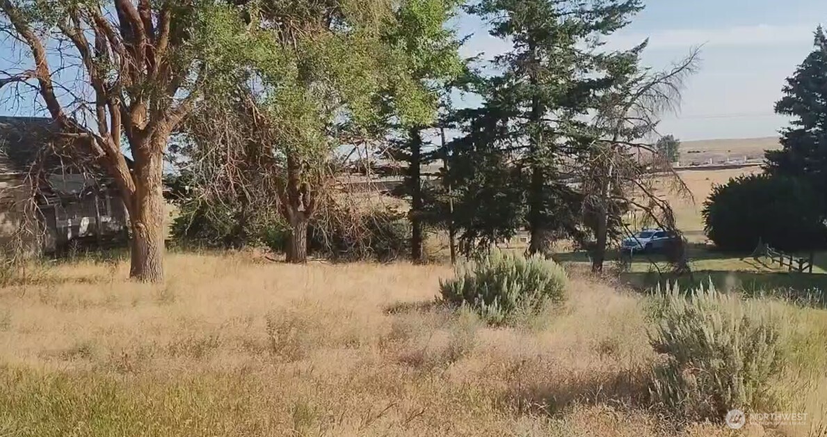 39681 Bluestem Road East Davenport, WA 99122 - Photo 7 of 8