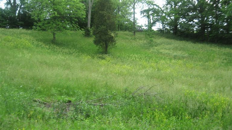 12389 Percival Road Walton, KY 41094 - Photo 19 of 30