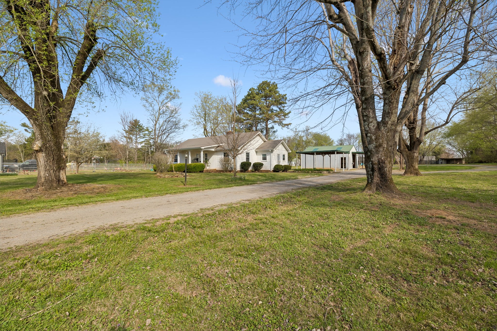 3026 Dilton Mankin Road Murfreesboro, TN 37127 - Photo 60 of 64 a view of yard with tree s