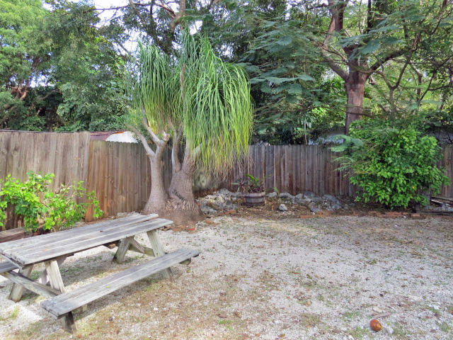 914 La Paloma Road Key Largo, FL 33037 - Photo 4 of 12 Backyard