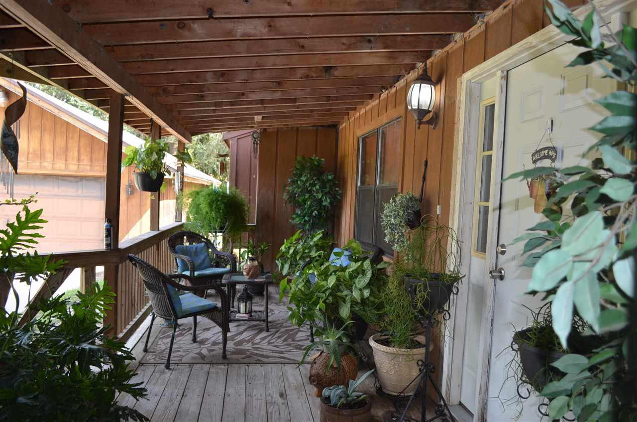 2445 Andrew Morgan Road Perry, FL 32347 - Photo 4 of 35