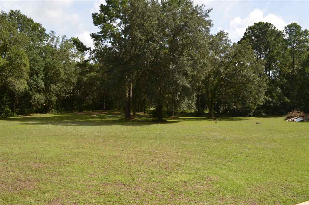 2445 Andrew Morgan Road Perry, FL 32347 - Photo 6 of 35