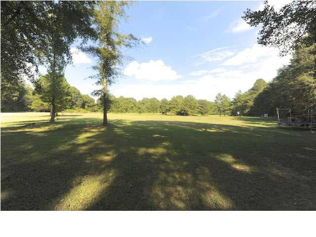 1310 Cassidy Road Terry, MS 39170 - Photo 5 of 23 Manicured Backyard