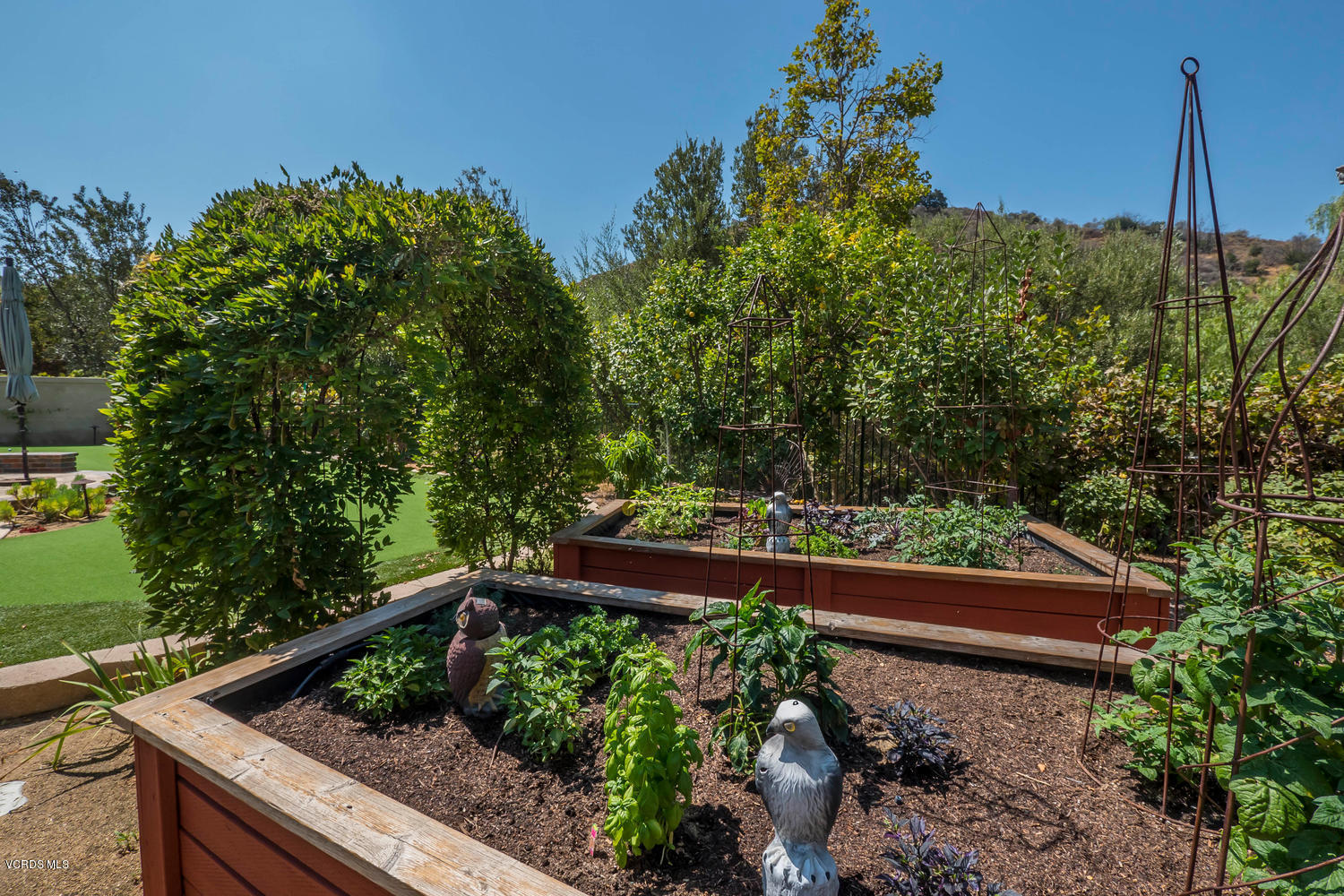 782 Running Creek Simi Valley, CA 93065 - Photo 49 of 49 a view of a yard with a tree