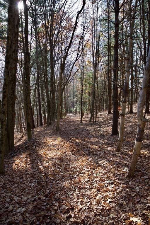 46 Mountain Road Gill, MA 01354 - Photo 34 of 42 Gallery Image 34