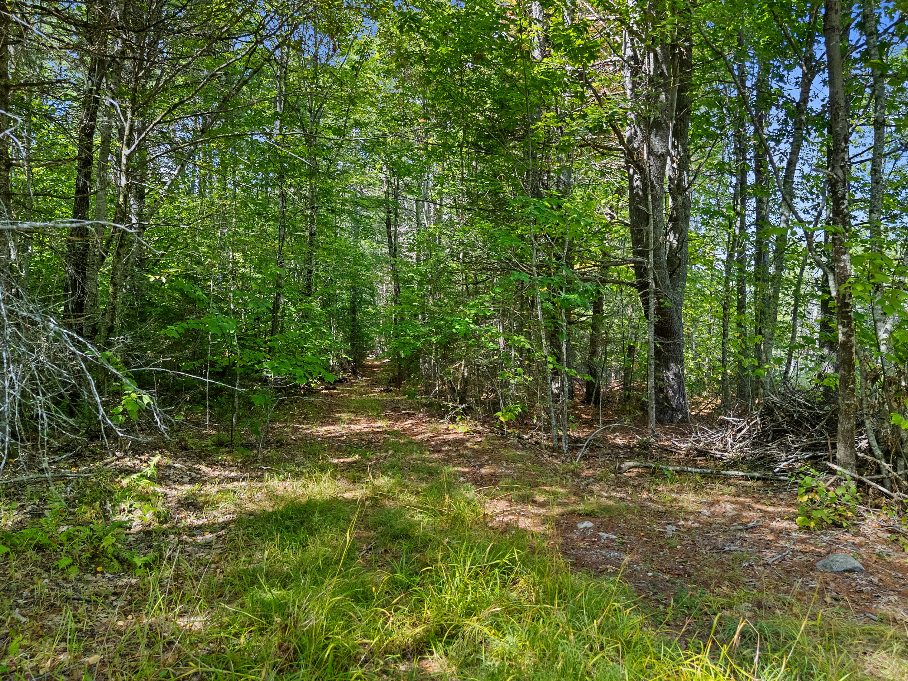 Remnants of Trail