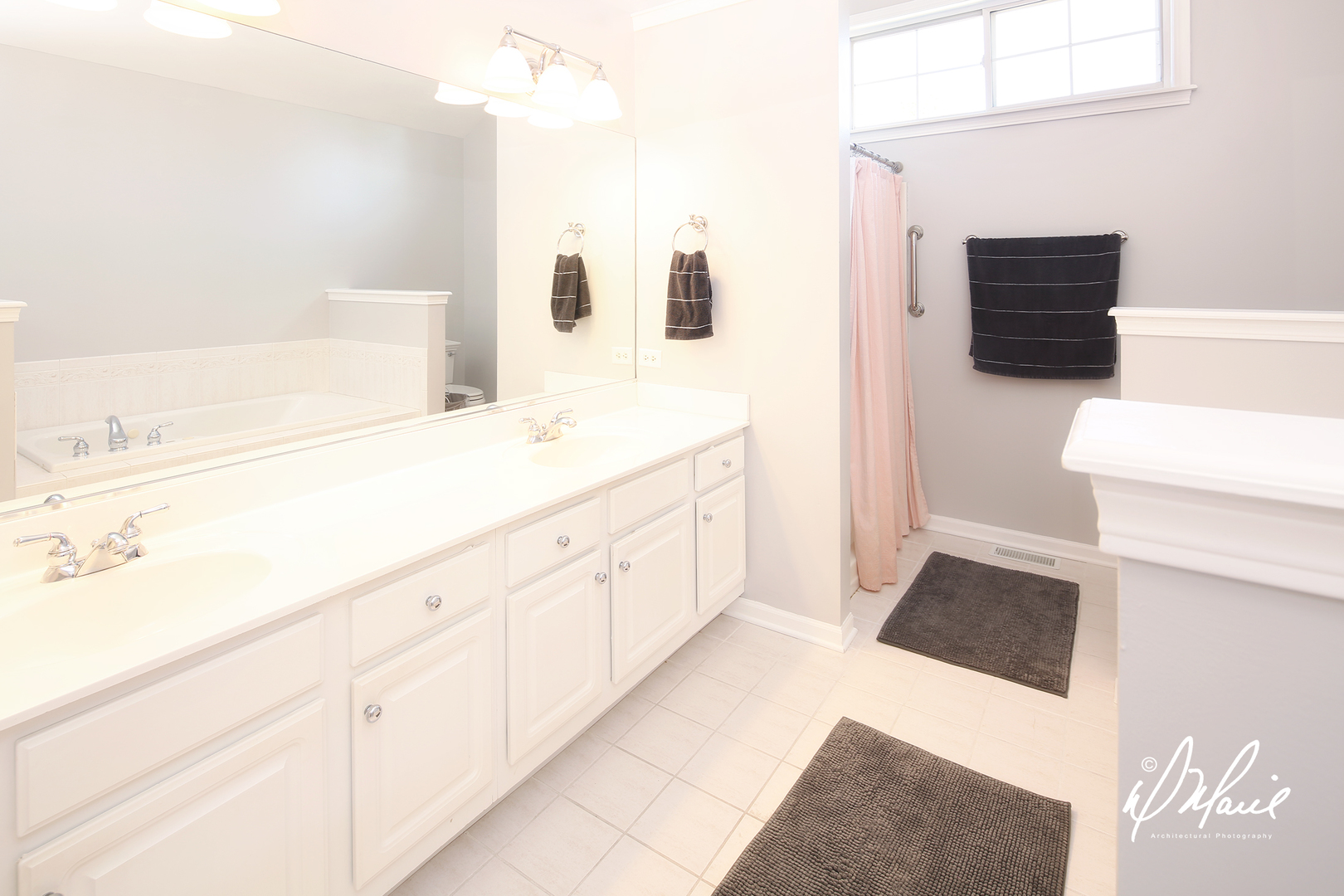 5047 Prairie Sage Lane Naperville, IL 60564 - Photo 18 of 22 a spacious bathroom with a sink and a mirror