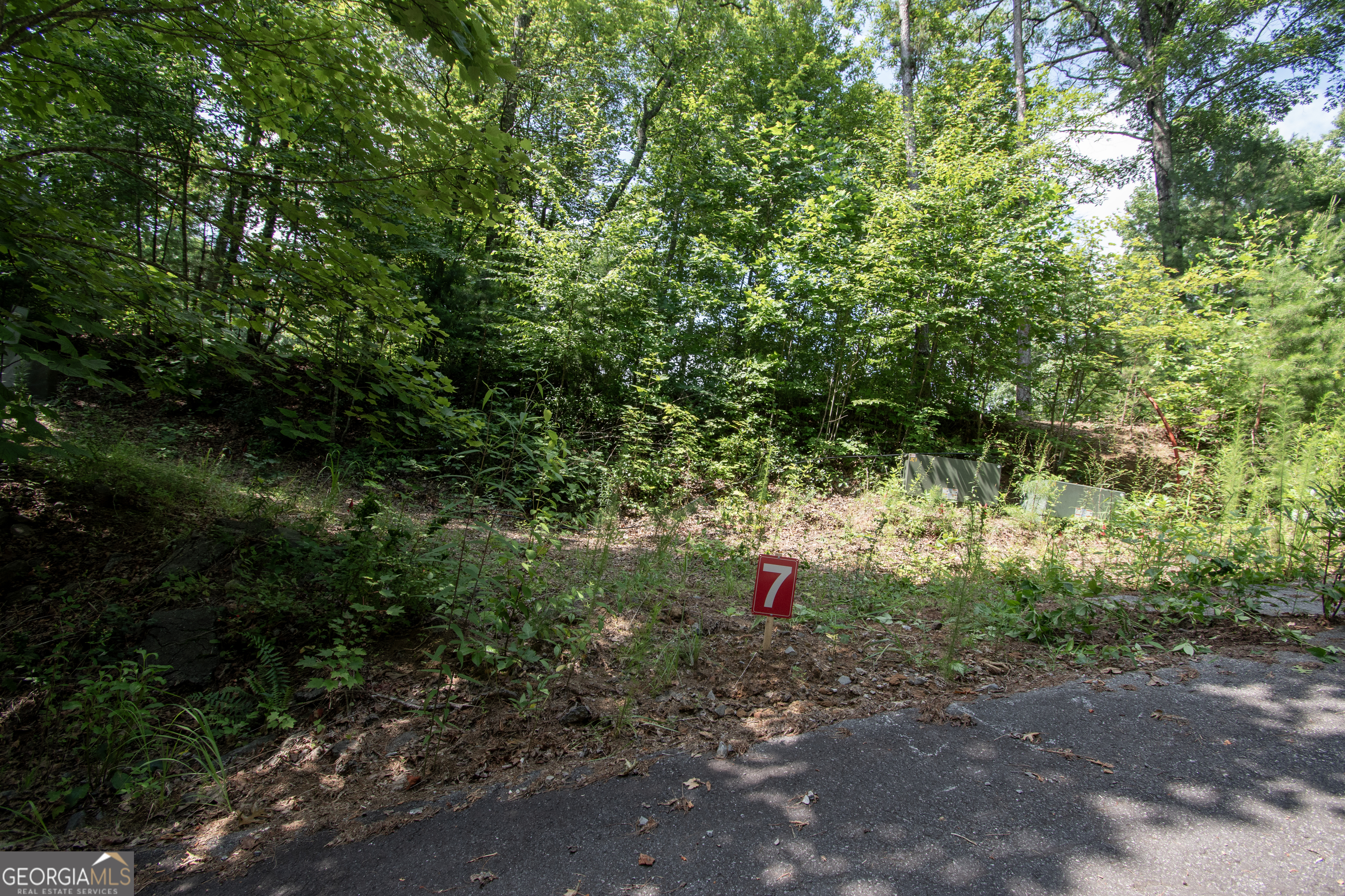 850 Bluff Road Marble, NC 28905 - Photo 10 of 31 Gallery Image 10
