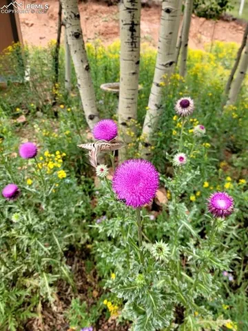 a view of a backyard with sitting area and furniture