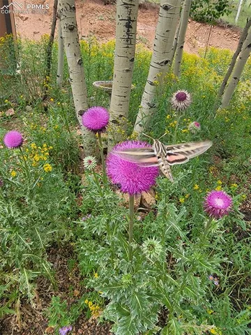 a vase of flowers sitting on a table