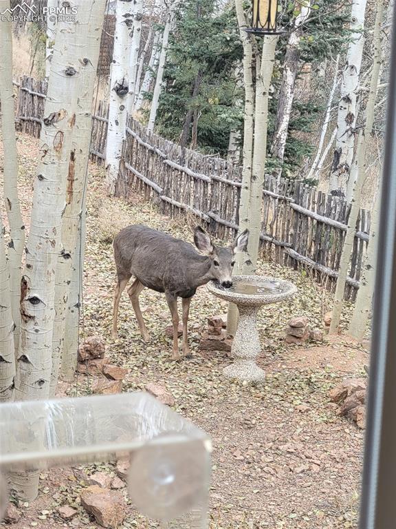 325 Willow Road Divide, CO 80814 - Photo 44 of 45 a vase of flowers sitting on a table