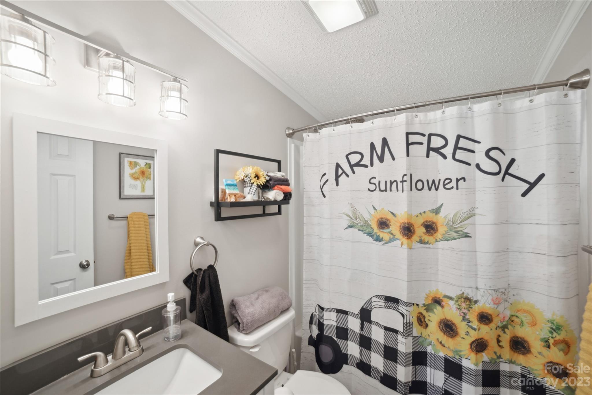 235 Amity Church Road Iron Station, NC 28080 - Photo 16 of 25 a bathroom with a sink and a mirror