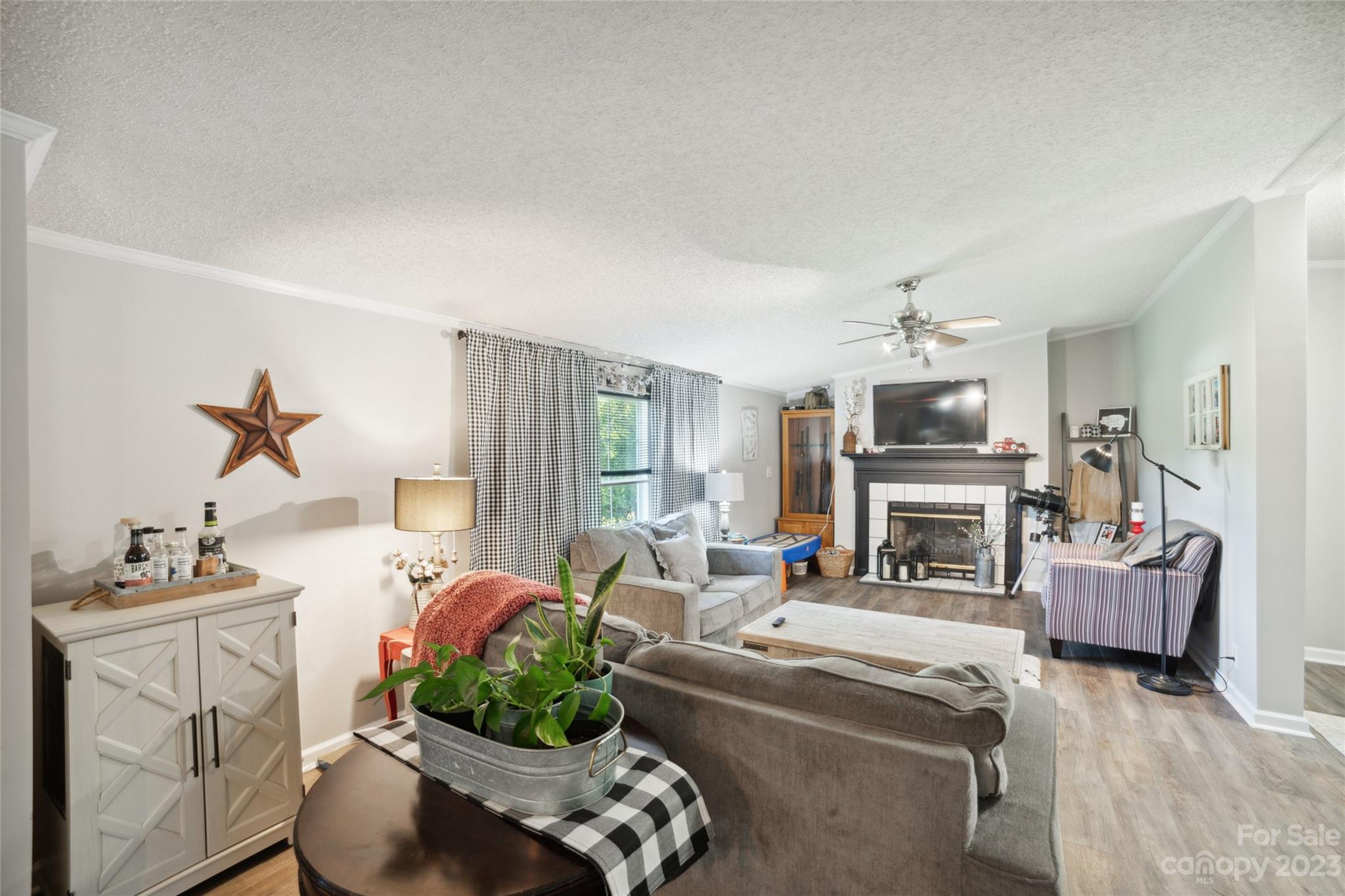 235 Amity Church Road Iron Station, NC 28080 - Photo 8 of 25 a living room with furniture a fireplace and a flat screen tv