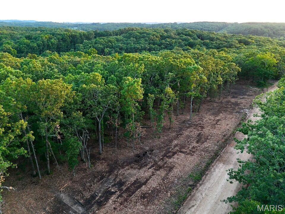 3 Cantrell Road Mansfield, MO 65704 - Photo 3 of 14