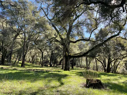 a swimming pool with outdoor seating and yard