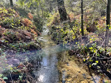 $575,000 | 10 Garzas Trail, Carmel, CA 93923