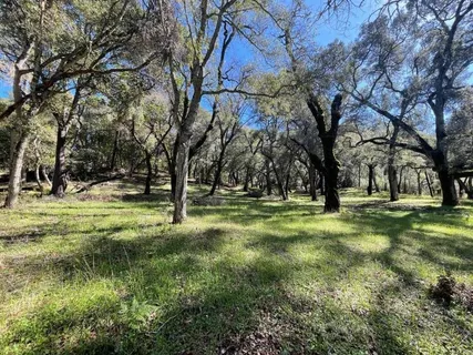 $575,000 | 10 Garzas Trail, Carmel, CA 93923