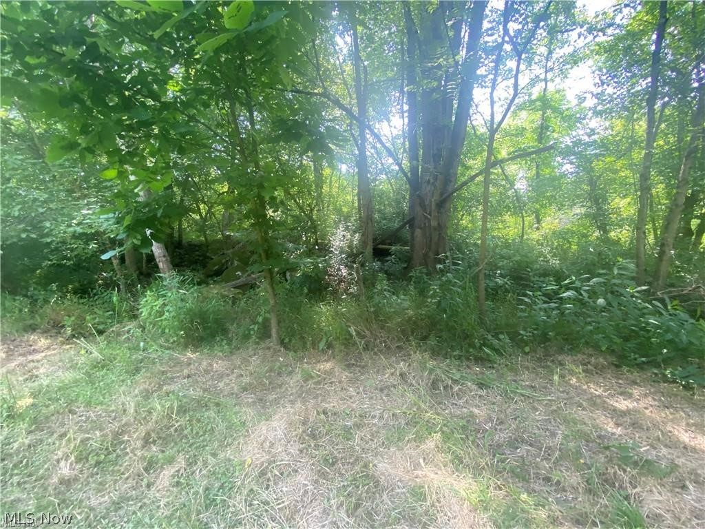 76040 Skull Fork Road Freeport, OH 43973 - Photo 17 of 34 Gallery Image 17