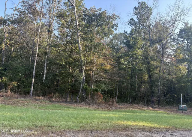 $35,000 | 0 Friendship Circle, Forest, MS 39074