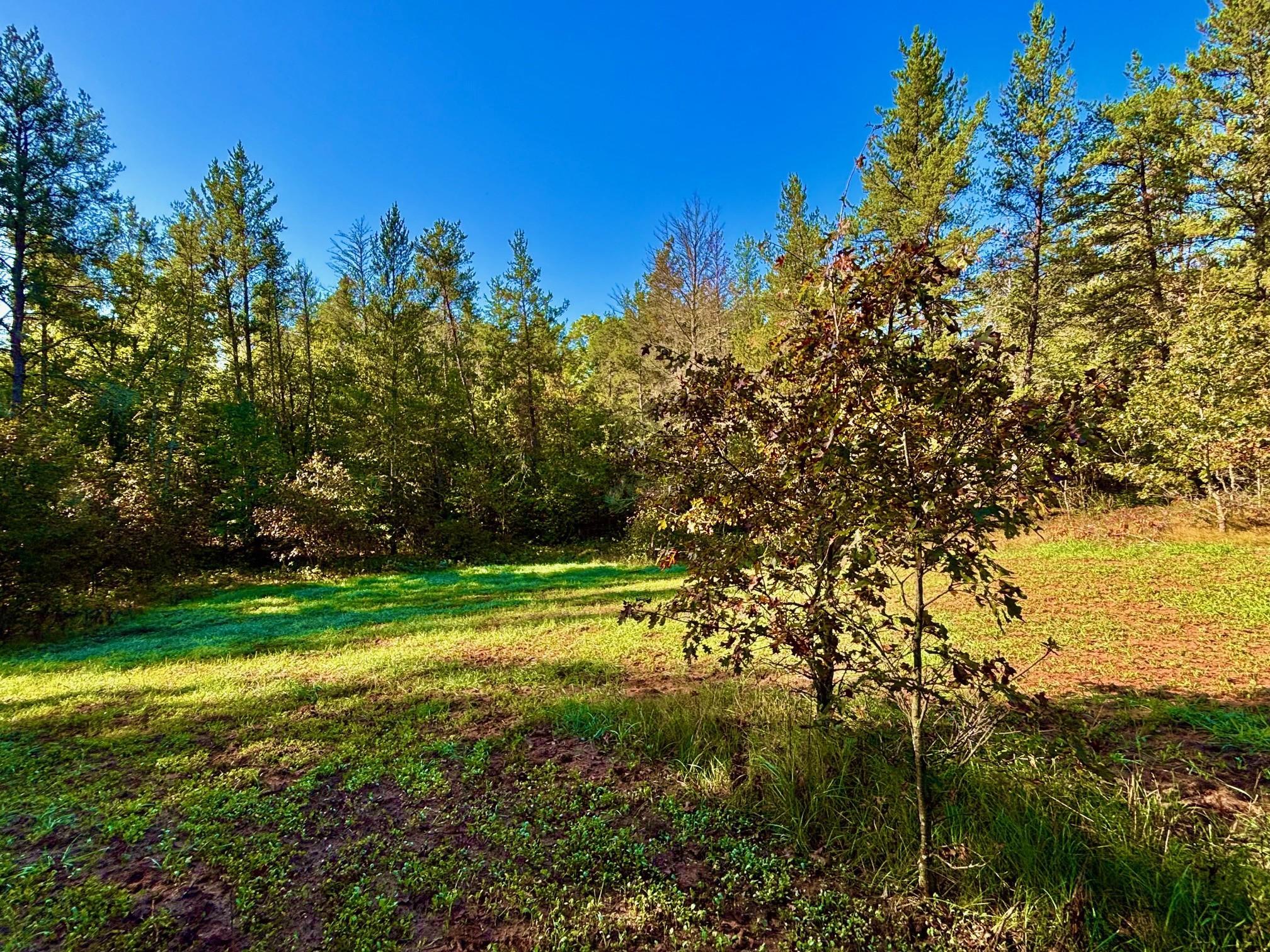 Tbd151 River Road St. Croix Falls, WI 54024 - Photo 13 of 87