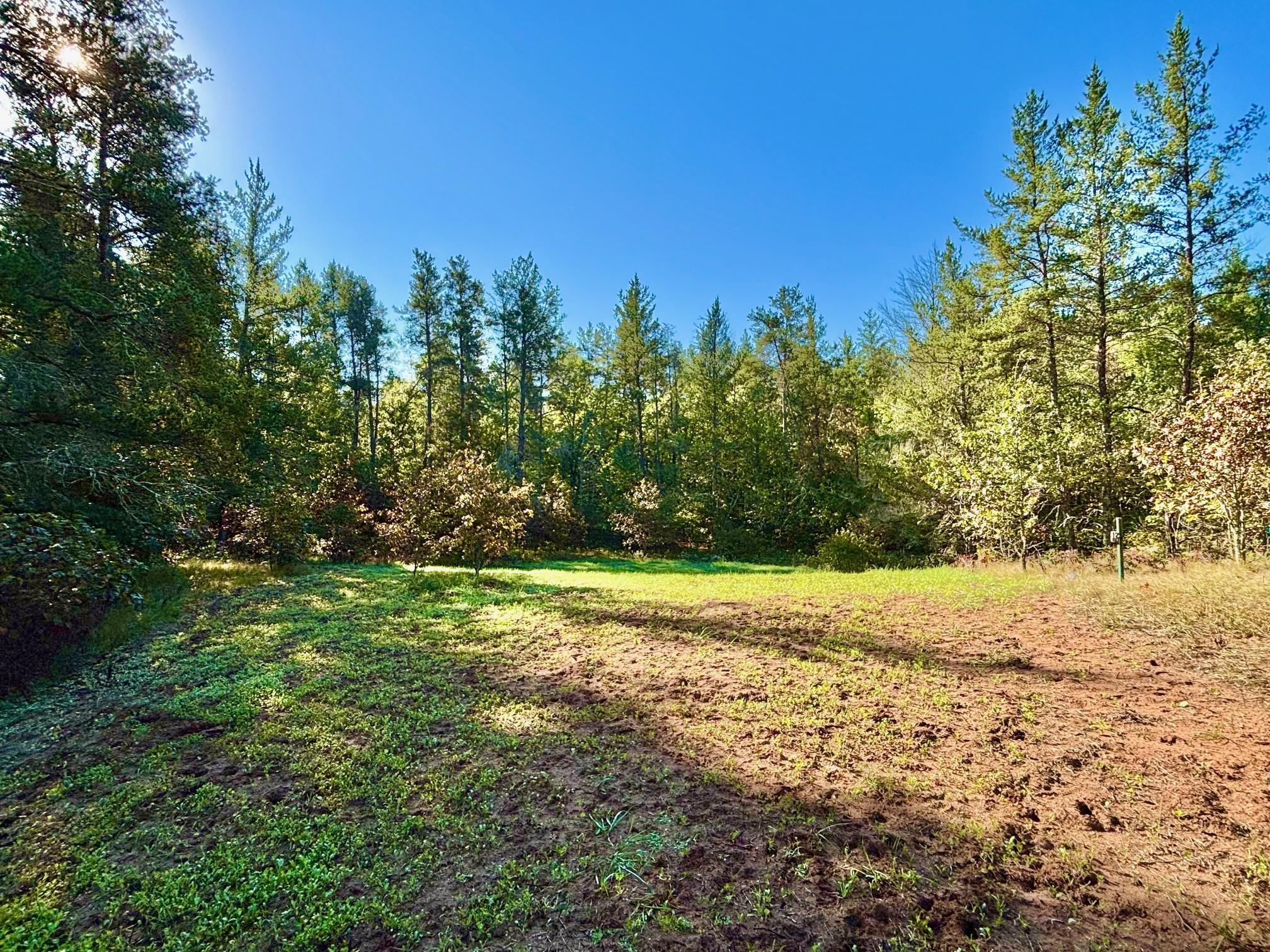 Tbd151 River Road St. Croix Falls, WI 54024 - Photo 20 of 87