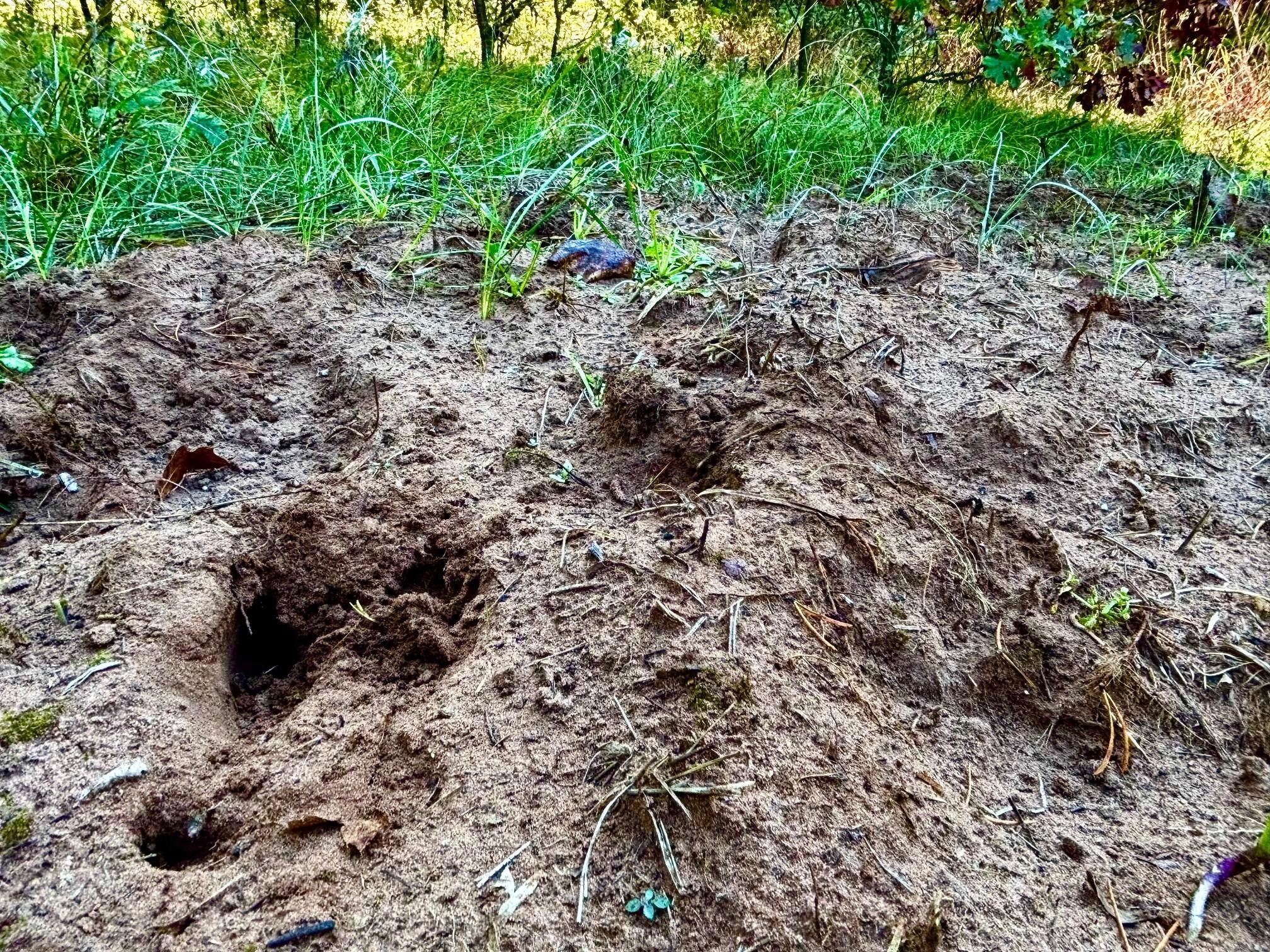 Tbd151 River Road St. Croix Falls, WI 54024 - Photo 21 of 87