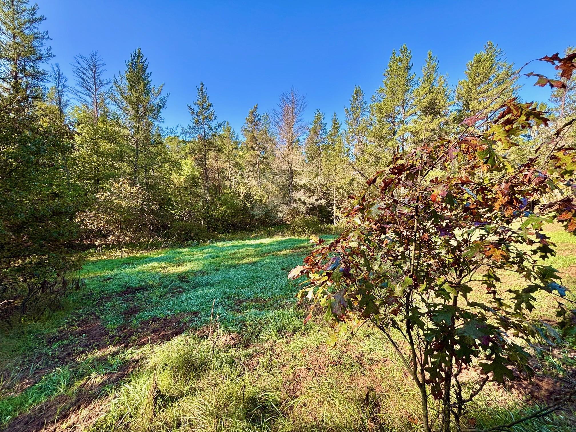 Tbd151 River Road St. Croix Falls, WI 54024 - Photo 22 of 87