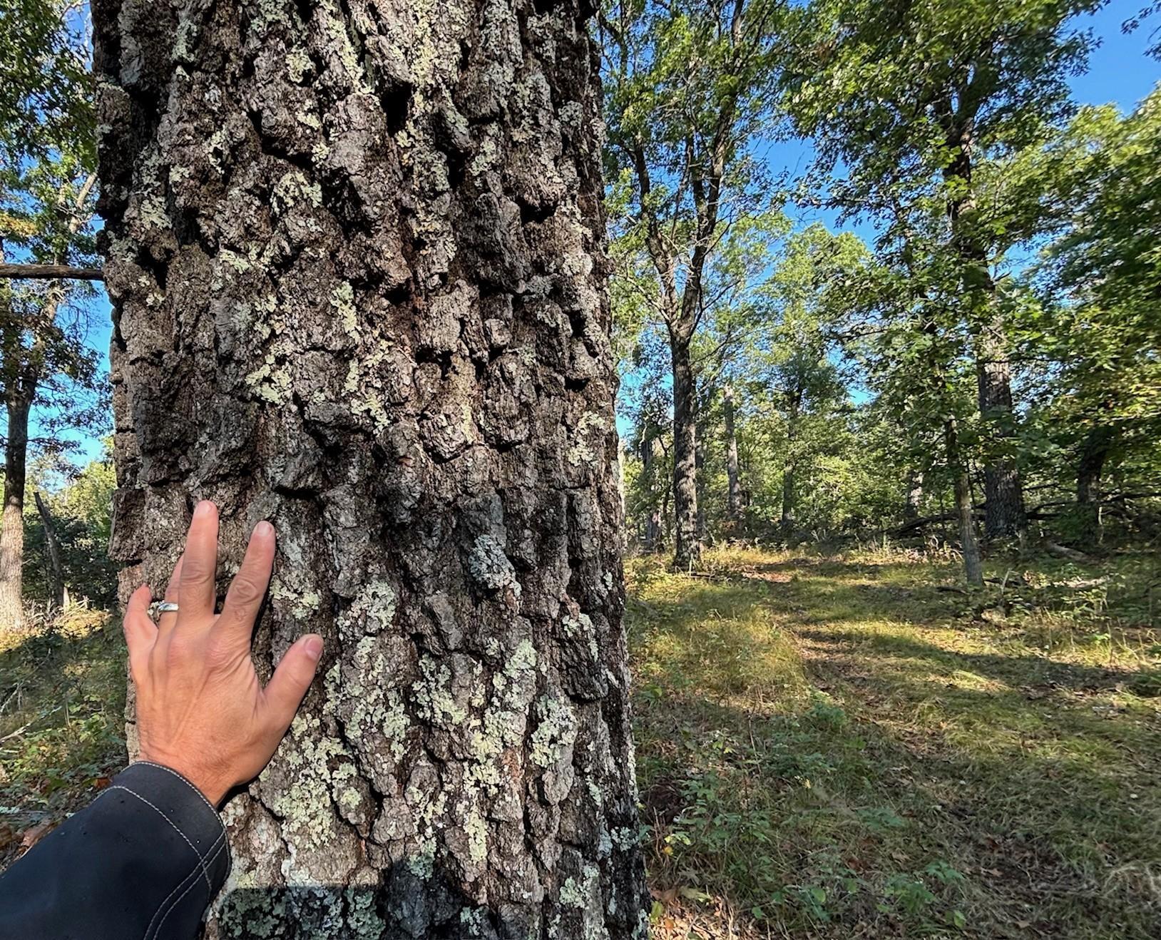 Tbd151 River Road St. Croix Falls, WI 54024 - Photo 24 of 87