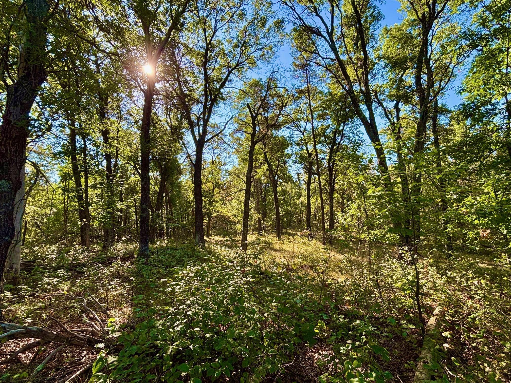 Tbd151 River Road St. Croix Falls, WI 54024 - Photo 25 of 87