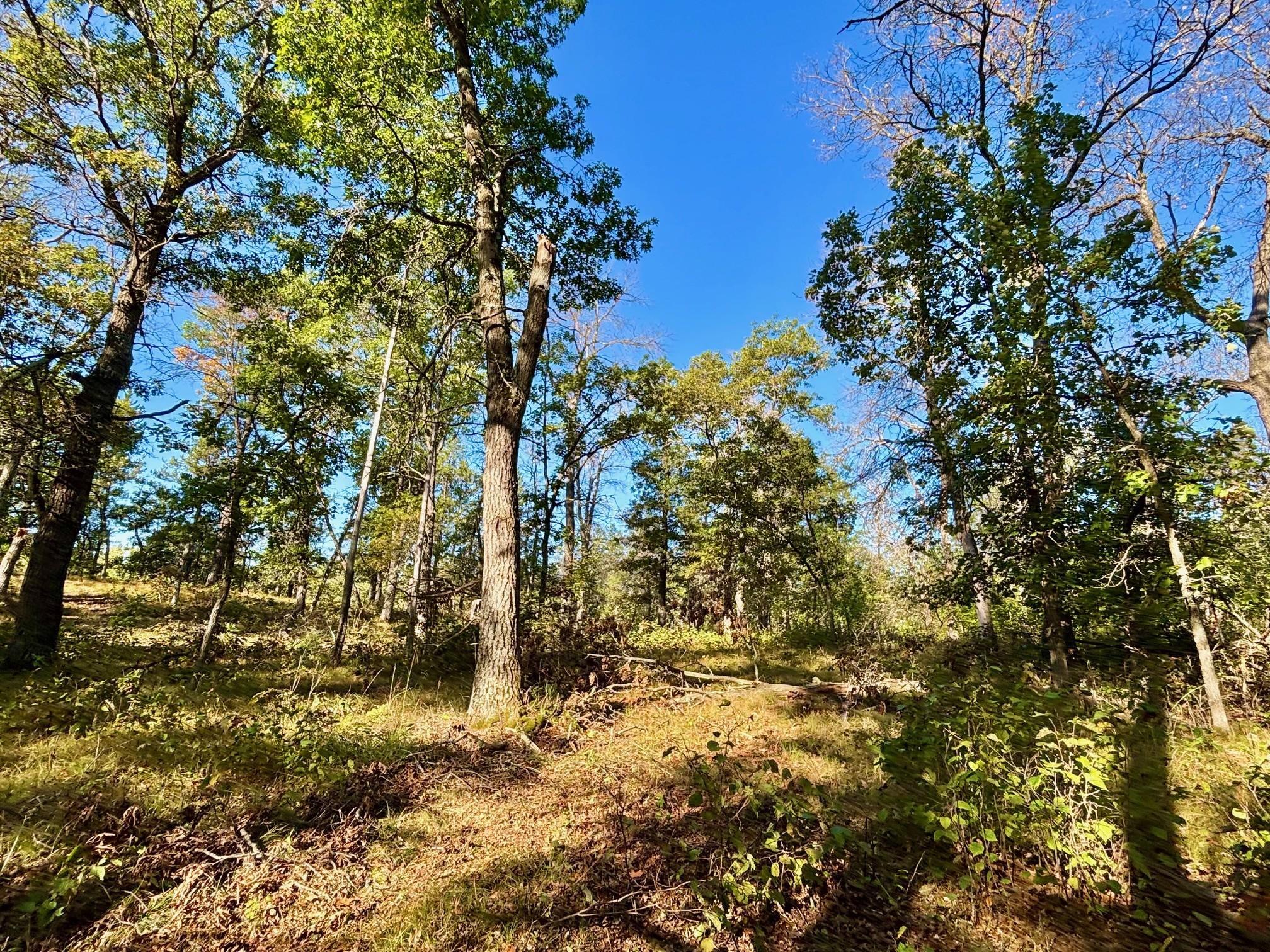 Tbd151 River Road St. Croix Falls, WI 54024 - Photo 26 of 87