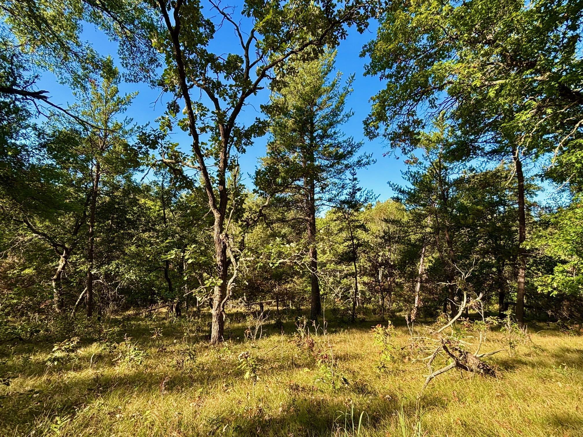 Tbd151 River Road St. Croix Falls, WI 54024 - Photo 27 of 87