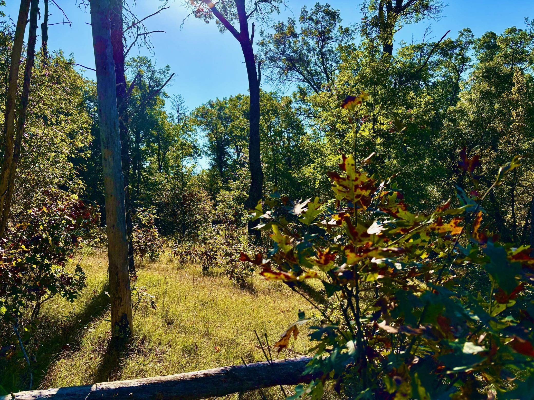 Tbd151 River Road St. Croix Falls, WI 54024 - Photo 28 of 87