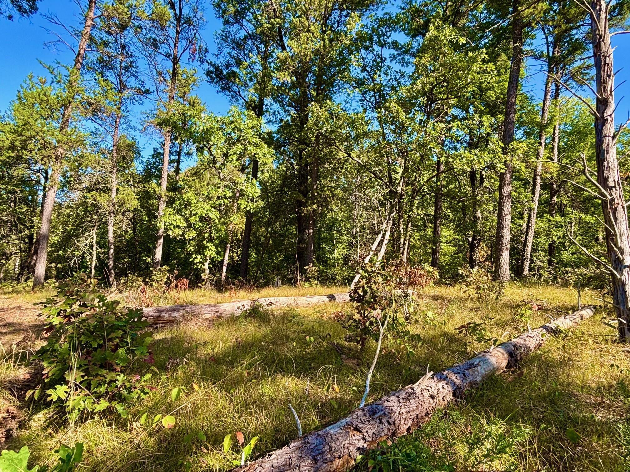 Tbd151 River Road St. Croix Falls, WI 54024 - Photo 29 of 87