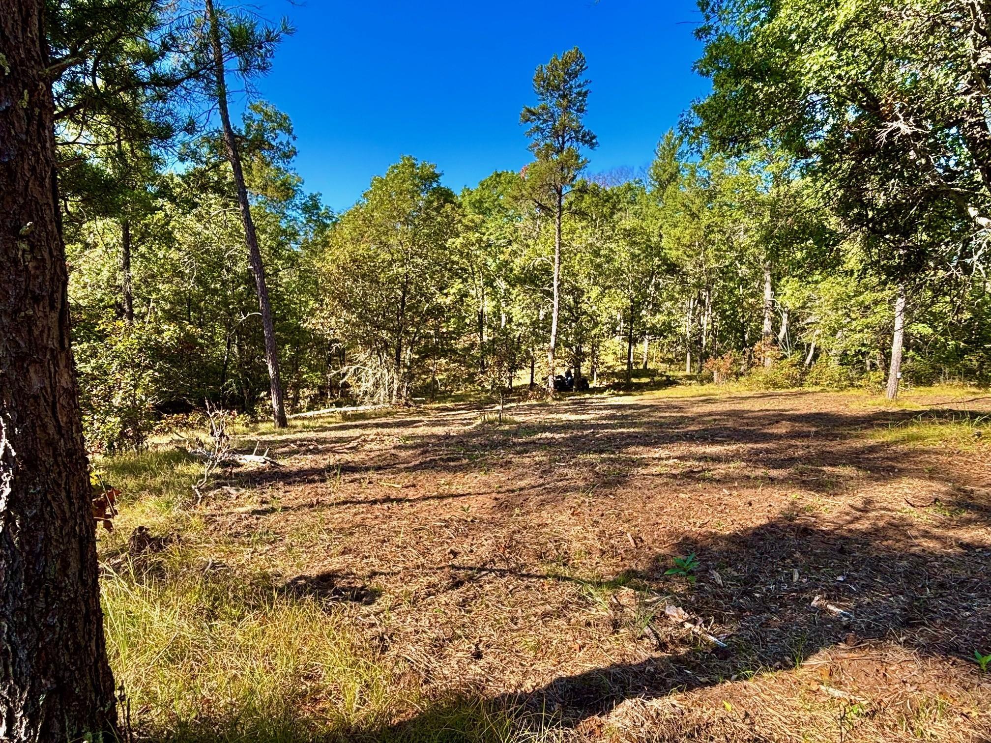 Tbd151 River Road St. Croix Falls, WI 54024 - Photo 30 of 87