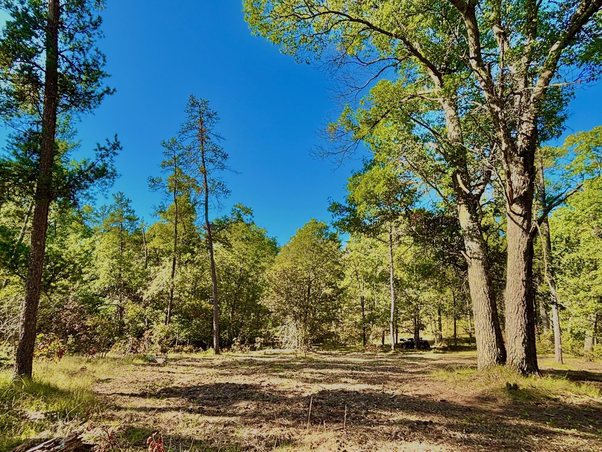 Tbd151 River Road St. Croix Falls, WI 54024 - Photo 31 of 87