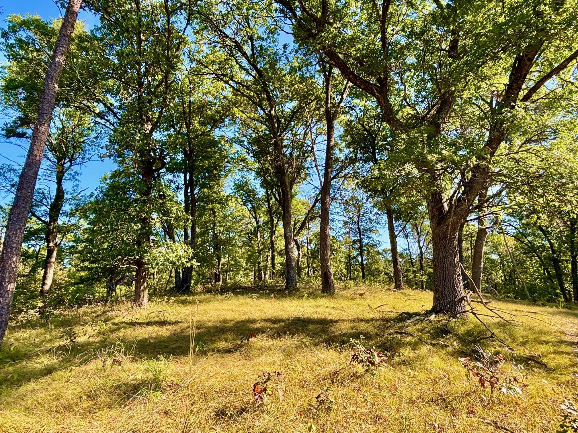 Tbd151 River Road St. Croix Falls, WI 54024 - Photo 32 of 87