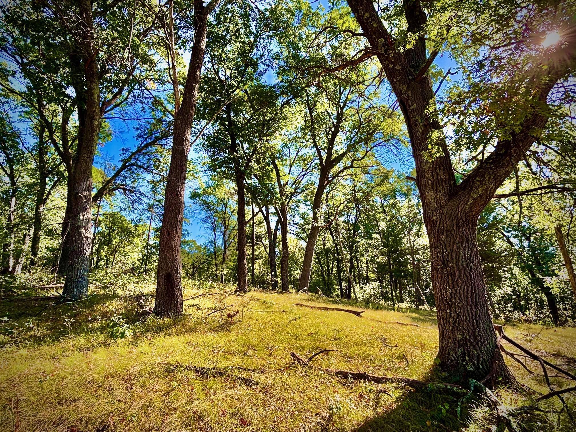 Tbd151 River Road St. Croix Falls, WI 54024 - Photo 34 of 87