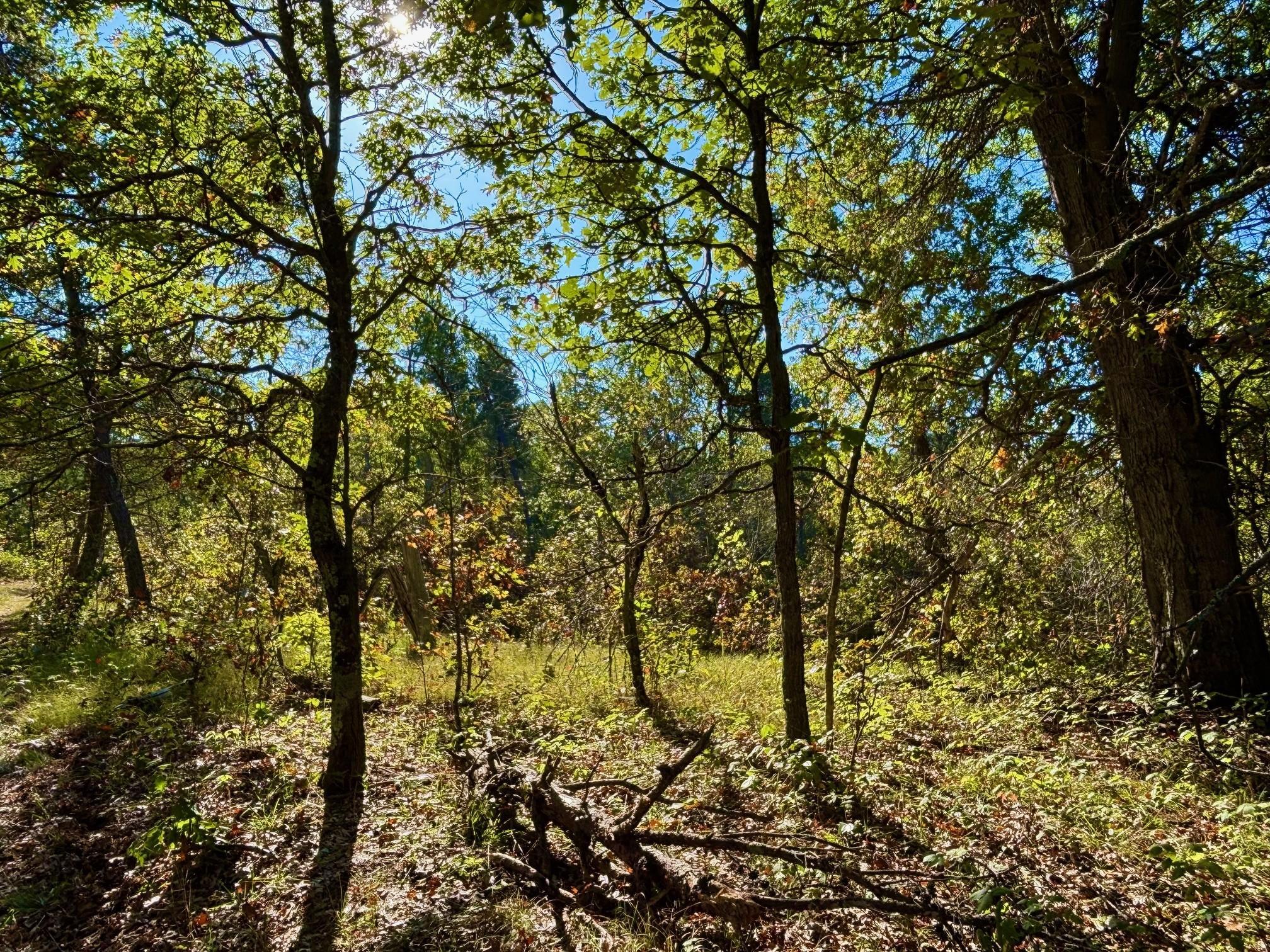 Tbd151 River Road St. Croix Falls, WI 54024 - Photo 35 of 87
