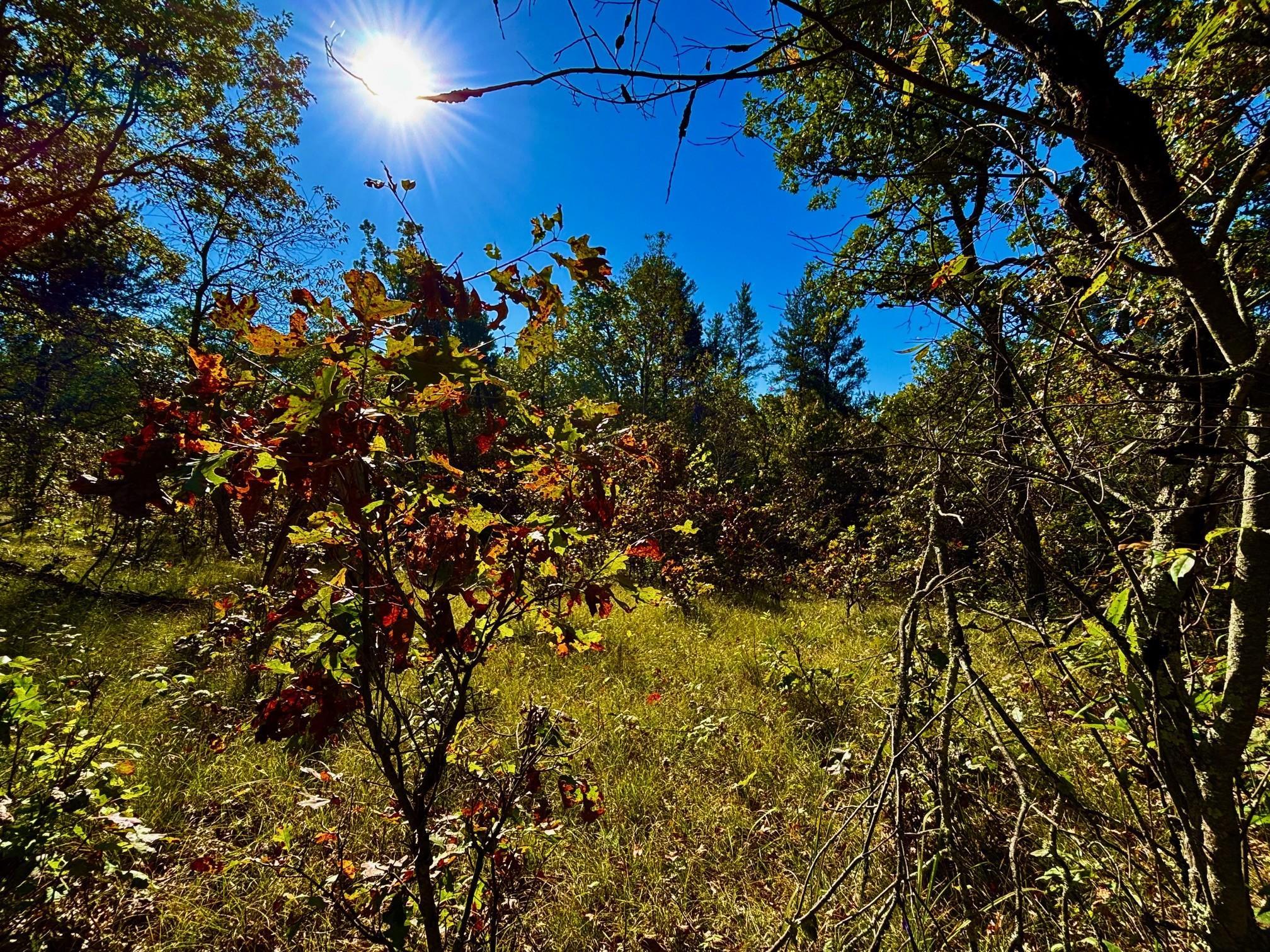 Tbd151 River Road St. Croix Falls, WI 54024 - Photo 36 of 87