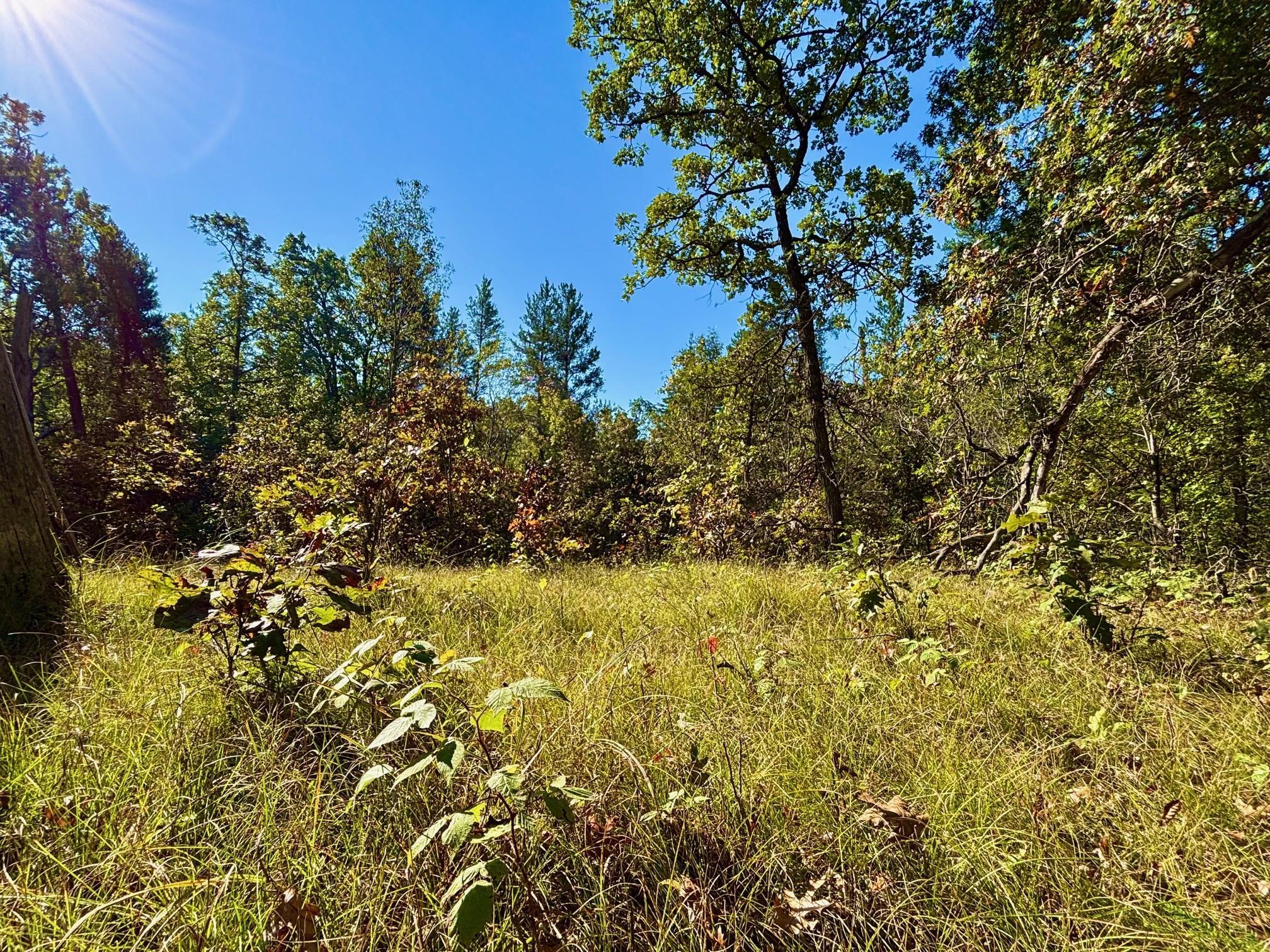 Tbd151 River Road St. Croix Falls, WI 54024 - Photo 37 of 87