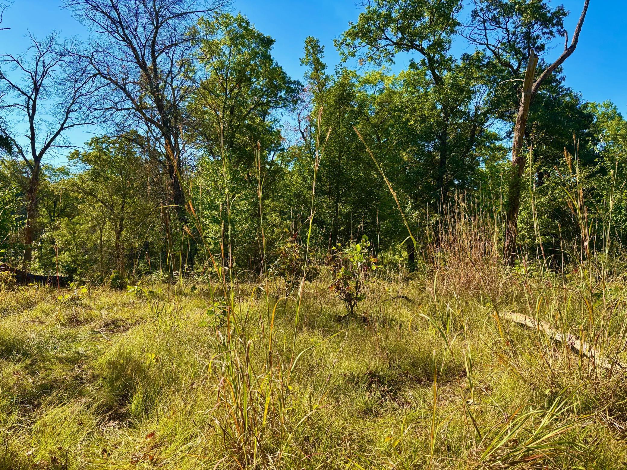 Tbd151 River Road St. Croix Falls, WI 54024 - Photo 38 of 87