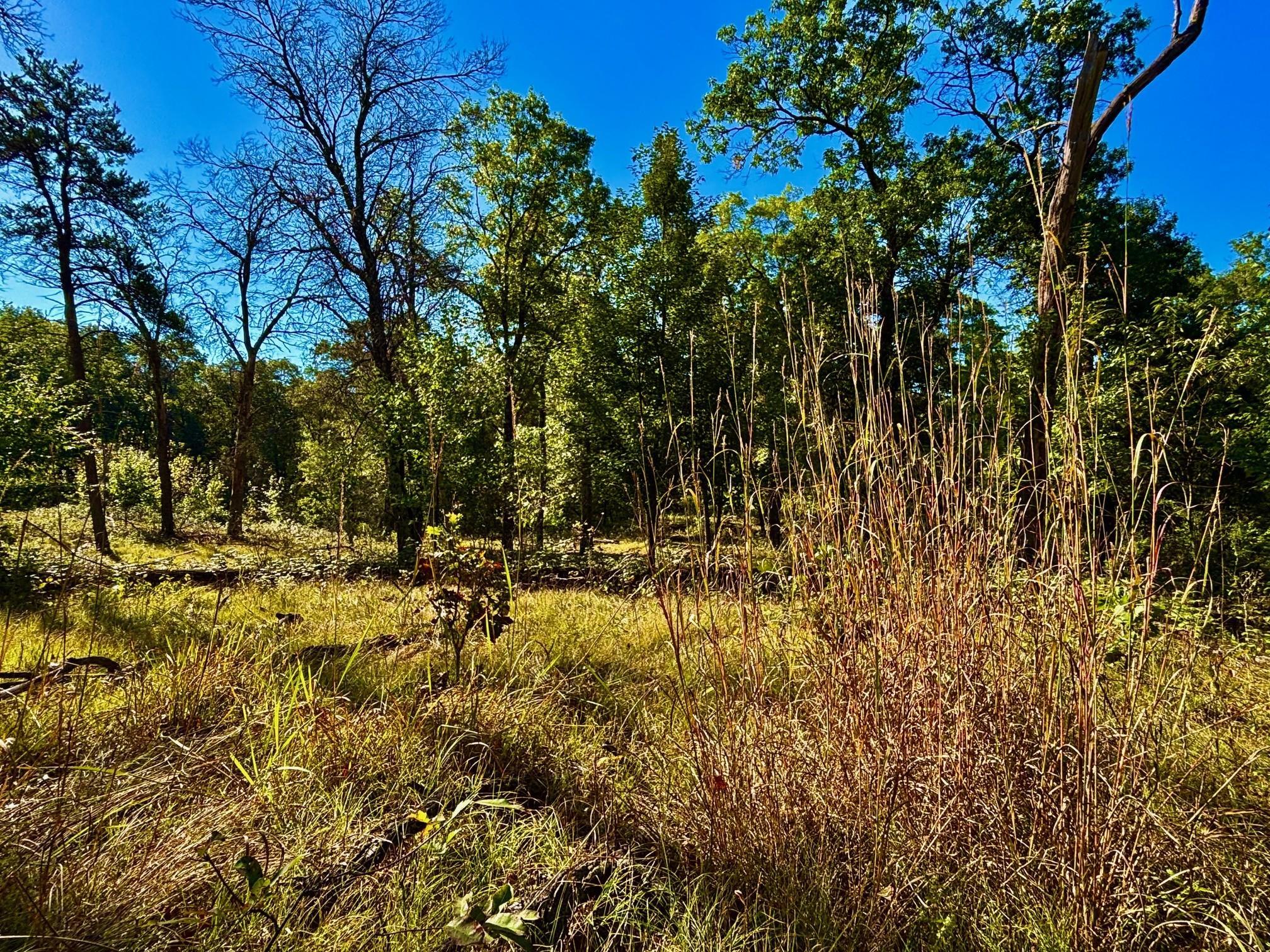 Tbd151 River Road St. Croix Falls, WI 54024 - Photo 39 of 87